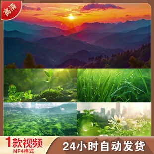 春暖花开万物复苏生机勃发唯美植物生LED舞台背景视频剪辑素材