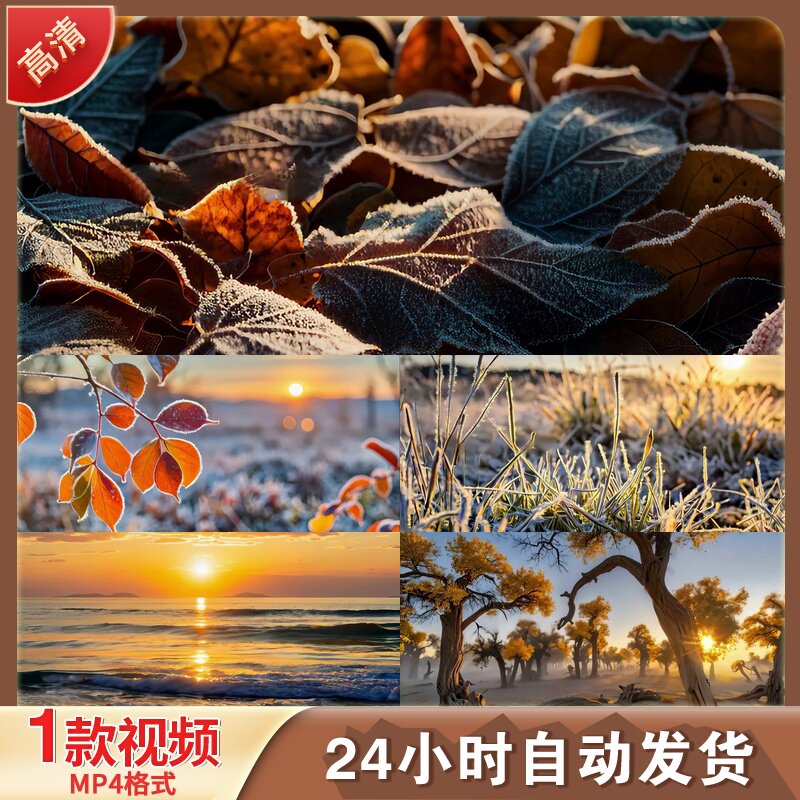 二十四节气白露立秋寒露秋分霜降处暑LED舞台背景视频剪辑素材