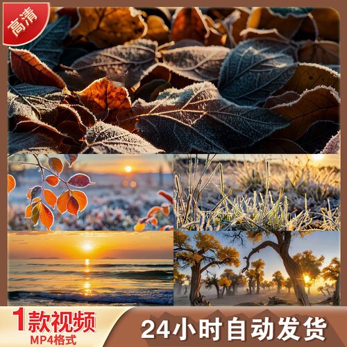 二十四节气白露立秋寒露秋分霜降处暑LED舞台背景视频剪辑素材