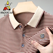 T恤休闲时尚 稻草人男士 翻领条纹短袖 新款 百搭上衣 纯棉POLO衫
