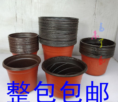 塑料软双色育苗营养钵盘加厚育苗圃专用耐用快递整红黑简易花盆