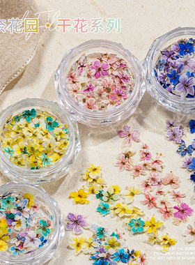美甲干花混装莫奈花园精美五瓣花