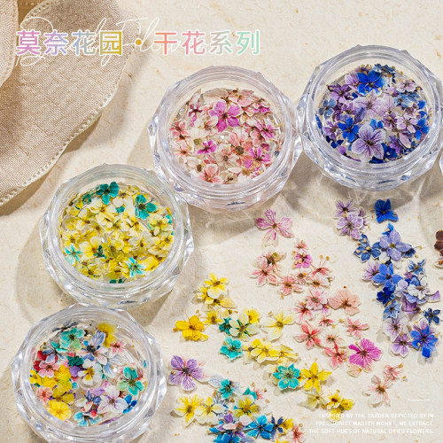 美甲干花混装莫奈花园精美五瓣花