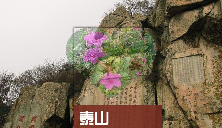 2026年山东泰山旅游攻略图（电子版）自由行交通景点美食旅行指南