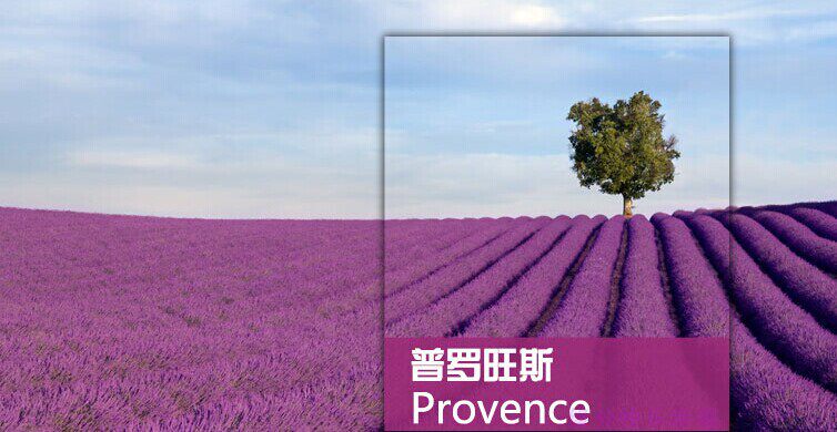 2026法国普罗旺斯旅游攻略（电子版）自由行交通景点美食旅行指南