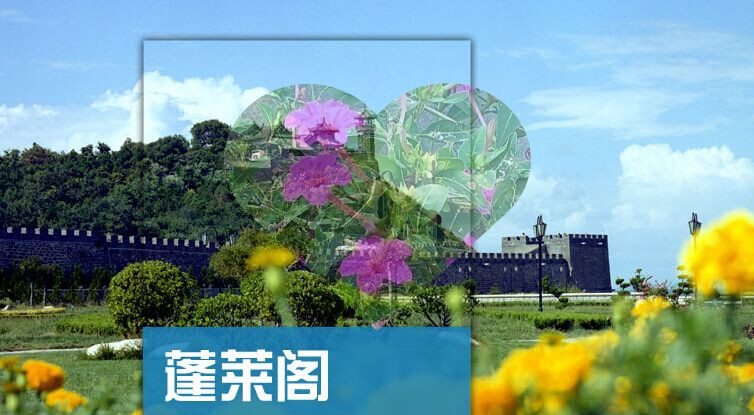 2026山东蓬莱阁旅游攻略图(电子版)自由行交通景点美食旅行指南