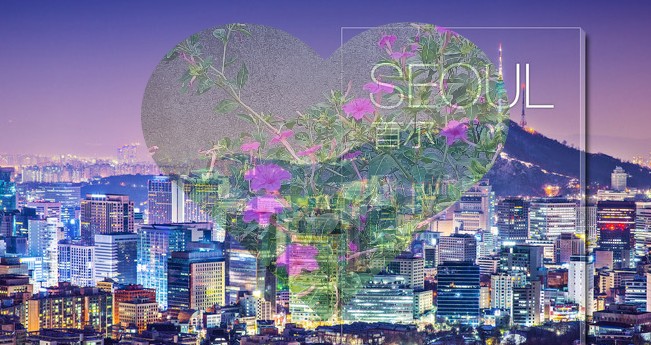 2025年韩国首尔旅游中文地图攻略（电子版）自助游自由行旅行指南