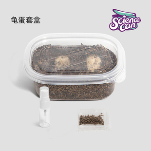 乌龟蛋可孵化套装草龟儿童宠物乌龟diy魔盒受精蛋探索生命