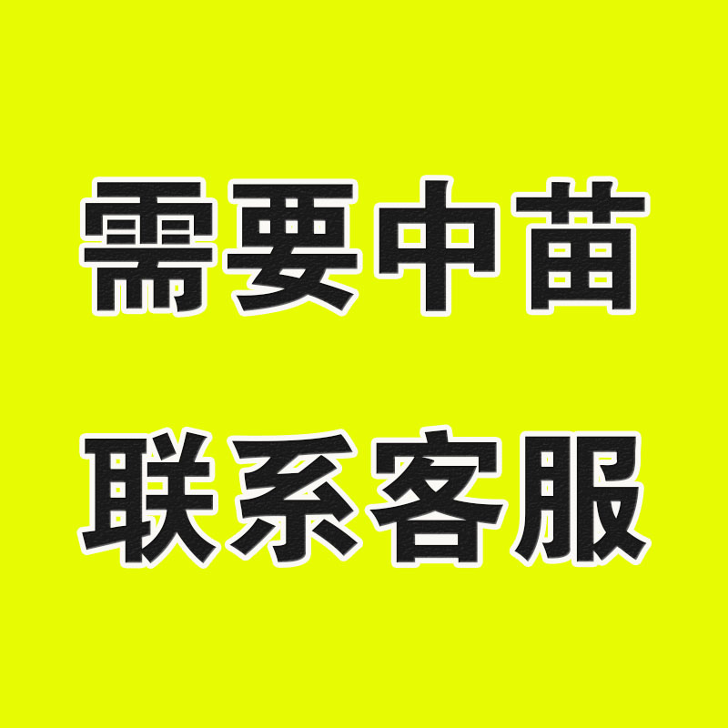 耐寒热浓香楼顶庭院子阳台盆地栽两广东西中大开花苗多四季卉植物