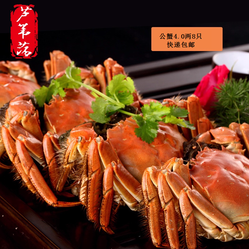 公蟹4.0两8只礼盒顺丰
