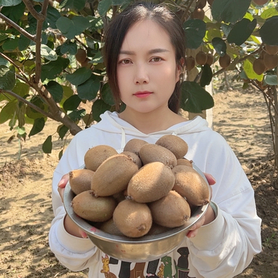 瑷鸢陕西周至徐香猕猴桃现摘现发保证口感整箱5斤包邮