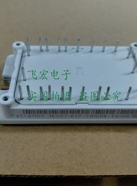 P451A1105 P452A1106 P452A1105 P452A1104 P451A1101 P451A1103