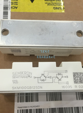 SKM145GB128DN 145GB124DN/126DN SKM195GB128DN/126D 100GB125D