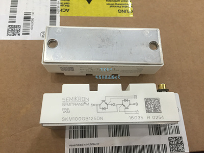 SKM145GB128DN 145GB124DN/126DN SKM195GB128DN/126D 100GB125D