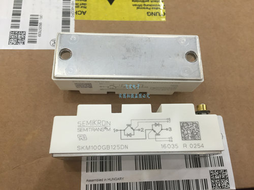 SKM145GB128DN 145GB124DN/126DN SKM195GB128DN/126D 100GB125D
