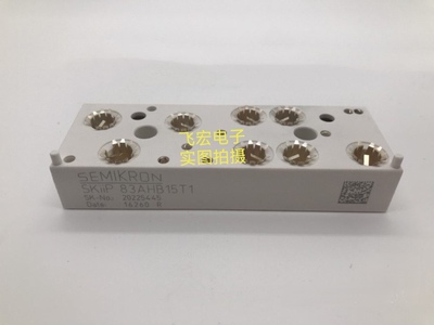 原装现货 SKiiP81AHB15T1 SKiiP81AHB15T10 SKiiP81AN15T10 询价