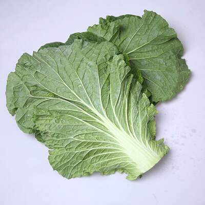 东北新鲜大白菜叶东北白菜叶打饭包菜叶打菜包饭包白菜叶子包邮