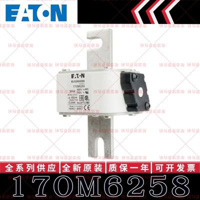 170M系列巴斯曼快速熔断器 170M6258 170M6259 170M6260 170M6261