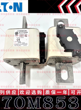 170M系列巴斯曼快速熔断器 170M8531 170M8532 170M8533 170M8534