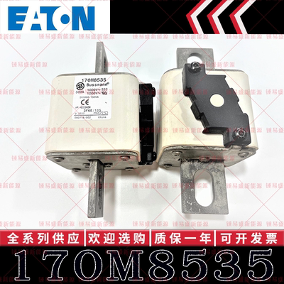 170M系列巴斯曼快速熔断器 170M8535 170M8536 170M8537 170M8538