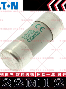 美国BUSSMANN保险丝 C22M100 100A C22M80 80A C22M63 63A 500V