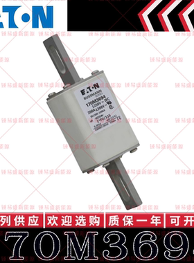 170M系列巴斯曼快速熔断器 170M3694 170M3695 170M3696 170M3697