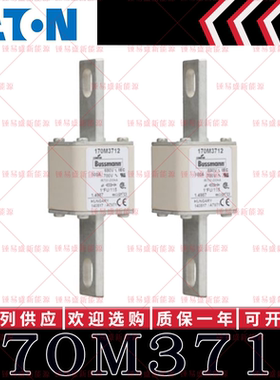 170M系列巴斯曼快速熔断器 170M3712 170M3713 170M3714 170M3715