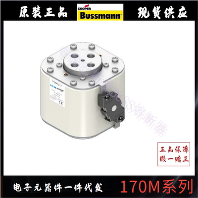 全新原装美国伊顿BUSSMANN熔断器 170M7636  7640  7962 7035 等
