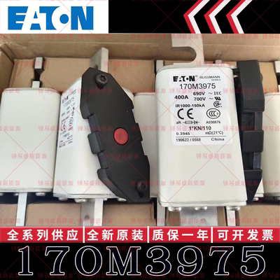 170M系列巴斯曼快速熔断器 170M3972 170M3973 170M3974 170M3975