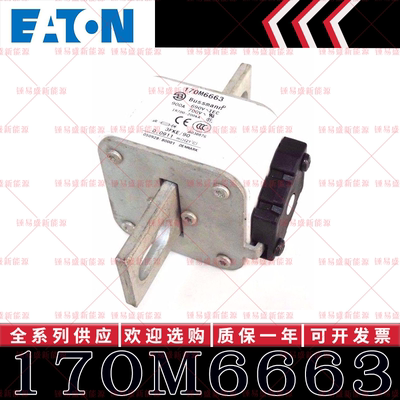170M系列巴斯曼快速熔断器 170M6662 170M6663 170M6664 170M6665