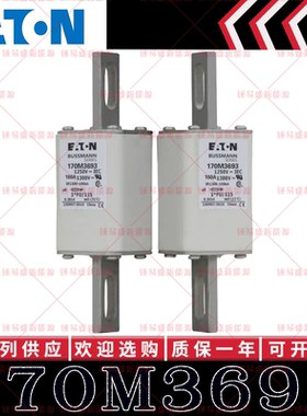 170M系列巴斯曼快速熔断器 170M3693 170M3694 170M3695 170M3696