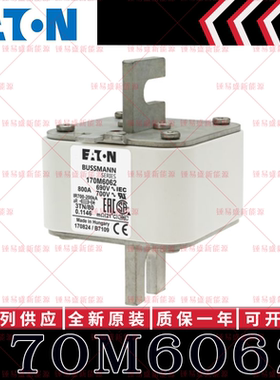 170M系列巴斯曼快速熔断器 170M6062 170M6063 170M6064 170M6065