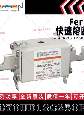 美尔森熔断器 PC70UD13C250EF W300606 PC70UD12C315EF X300607