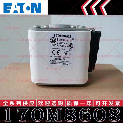 170M系列巴斯曼快速熔断器 170M8608 170M8609 170M8610 170M8611