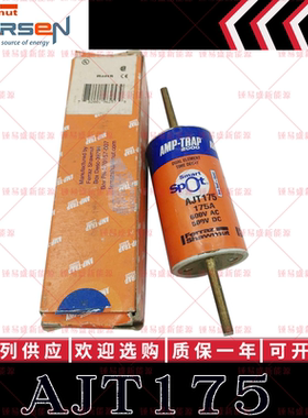 现货直发 罗兰Ferraz保险丝AJT175美尔森MERSEN熔断器 175A 600V