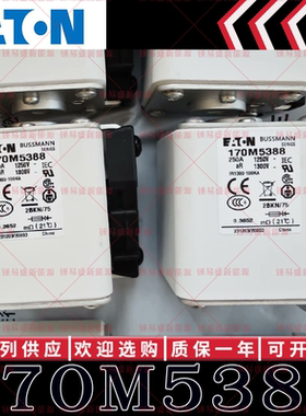 170M系列巴斯曼快速熔断器 170M5388 170M5389 170M5390 170M5391