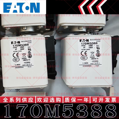 170M系列巴斯曼快速熔断器 170M5388 170M5389 170M5390 170M5391