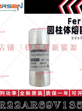 FR22AR69V25T FR22AR69V32T FR22AR69V40T FR22AR69V50T 保险丝