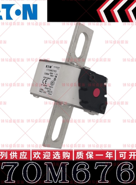 170M系列巴斯曼快速熔断器 170M6762 170M6763 170M6764 170M6765