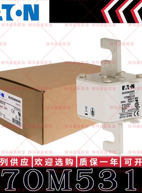 170M系列巴斯曼快速熔断器 170M5312 170M5313 170M5314 170M5315