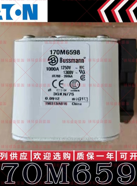 170M系列巴斯曼快速熔断器 170M6596 170M6597 170M6598 170M6599