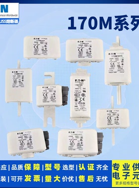 巴斯曼快速熔断器170M系列 170M5698 170M5699 170M5700 170M6688