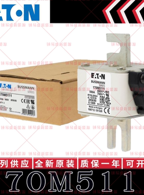 170M系列巴斯曼快速熔断器 170M5108 170M5109 170M5110 170M5111