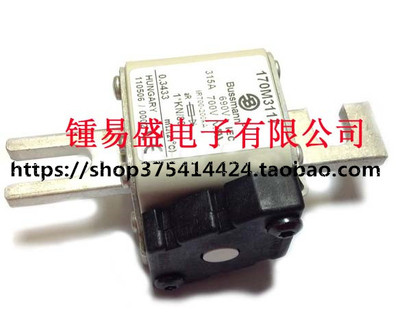 BUSS低压熔断器170M3266 170M3267 170M3268 170M3269 170M3270