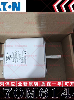 170M系列巴斯曼快速熔断器 170M6138 170M6139 170M6140 170M6141