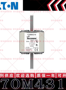 170M系列巴斯曼快速熔断器 170M4315 170M4316 170M4317 170M4318