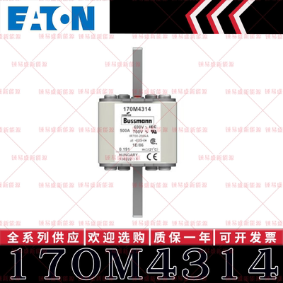 170M系列巴斯曼快速熔断器 170M4315 170M4316 170M4317 170M4318