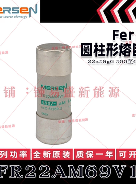 FERRAZ熔断器 FR22AM69V1/V2/V4/V6/V8/V10/V12/V16 FR22AM50V10