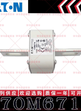 170M系列巴斯曼快速熔断器 170M6718 170M6719 170M6720 170M6721