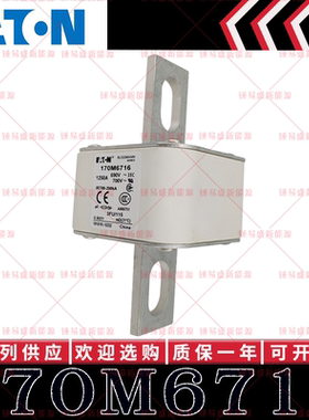 170M系列巴斯曼快速熔断器 170M6716 170M6717 170M6718 170M6719